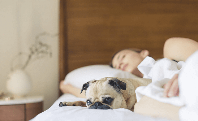 lady sleeping 